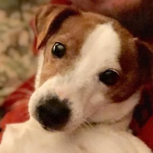 Meet your Posher, Eugene